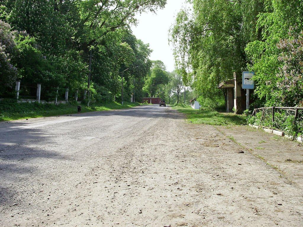 Черниця з panoramio.com - Черниця