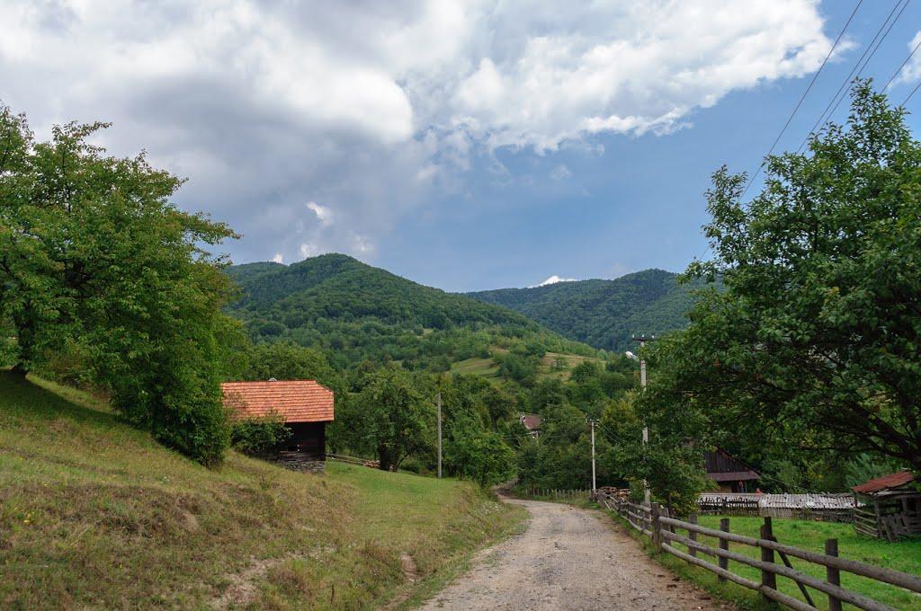Вишка з panoramio.com - Вышка