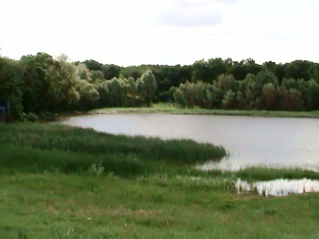 Малий Крупіль з panoramio.com - Малий Крупіль