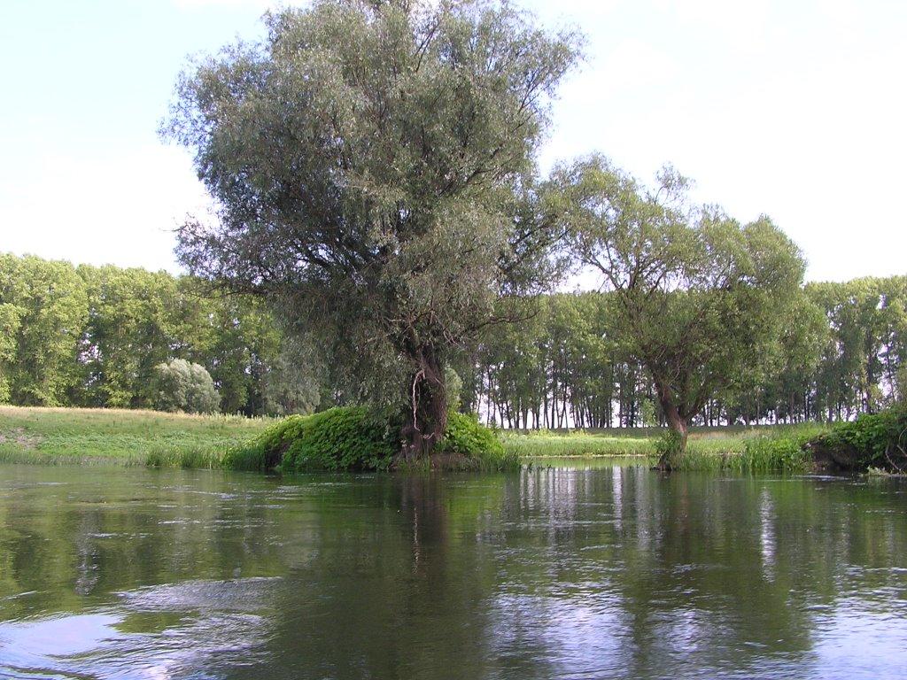 Духанівка з panoramio.com - Духанівка