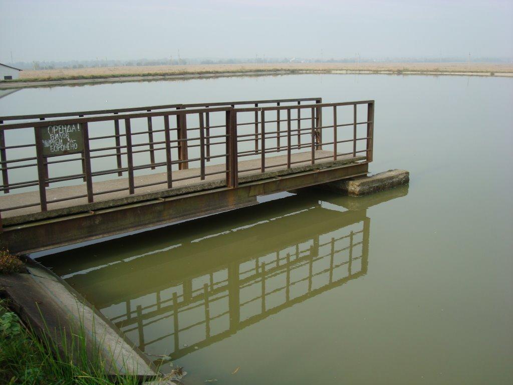 Лісна Слобідка з panoramio.com - Лісна Слобідка