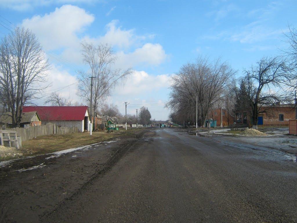 Стара Гнилиця з panoramio.com - Стара Гнилиця