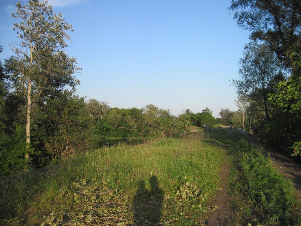 Кияшки з panoramio.com - Кияшки