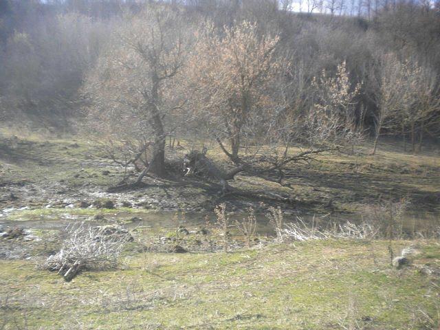 Яланець з panoramio.com - Яланець