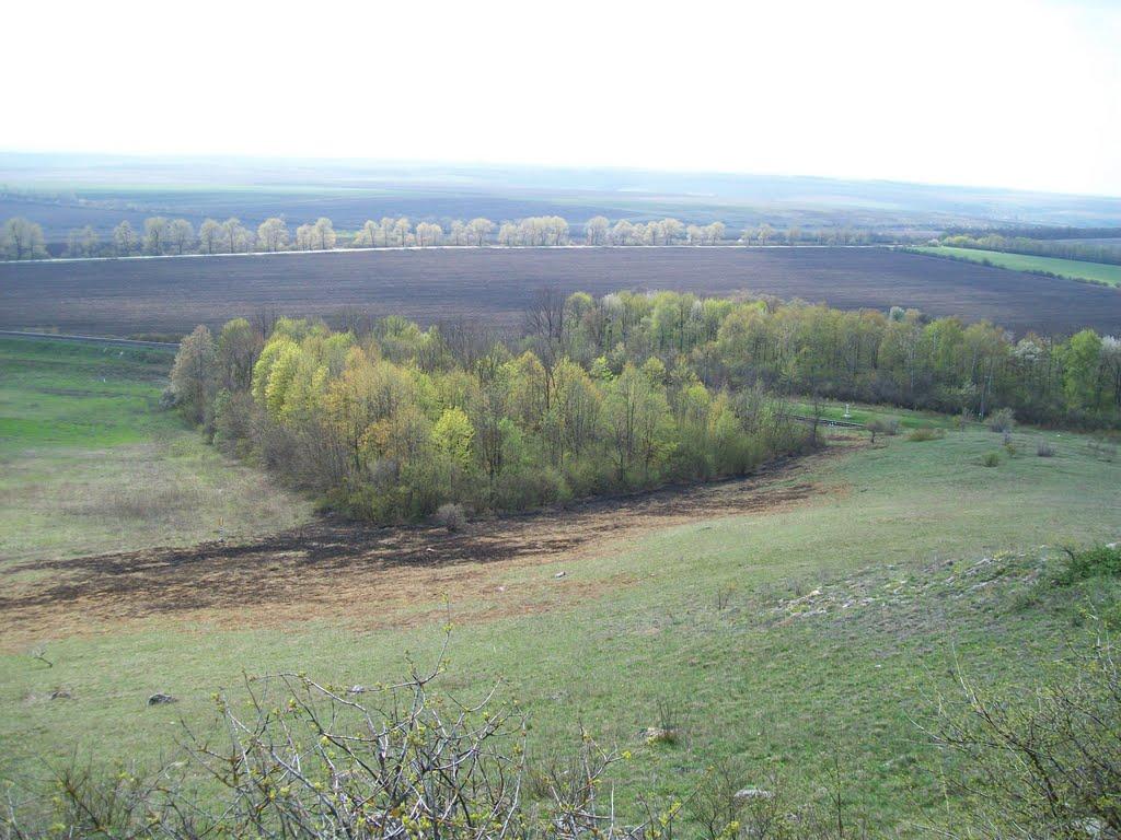 Нігин з panoramio.com - Нігин