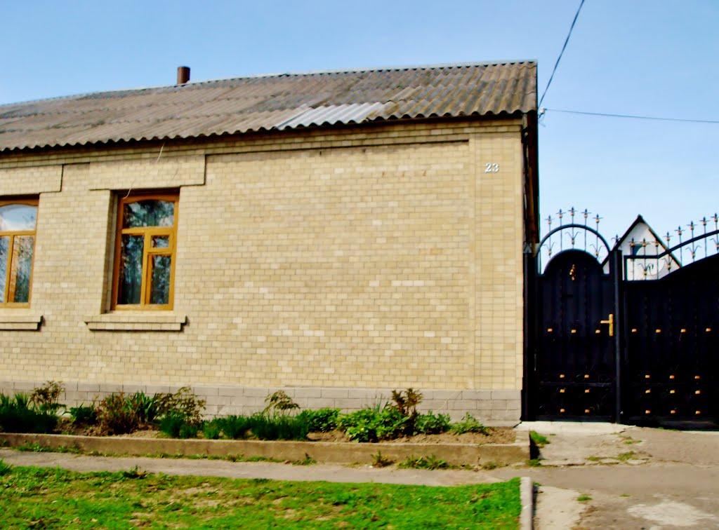 Гудзівка з panoramio.com - Gudzivka