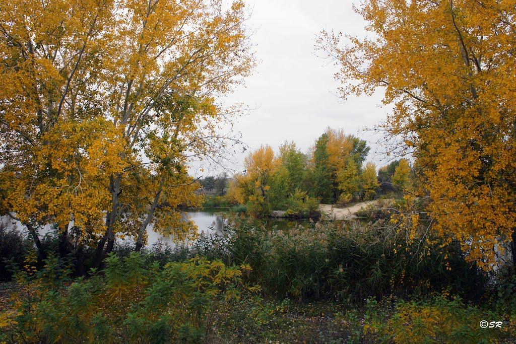 Шульгівка з panoramio.com - Шульгівка