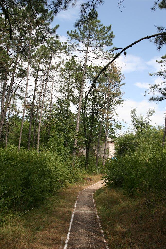 Научний з panoramio.com - Научний