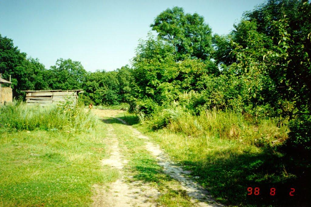 Лісне з panoramio.com - Лесное