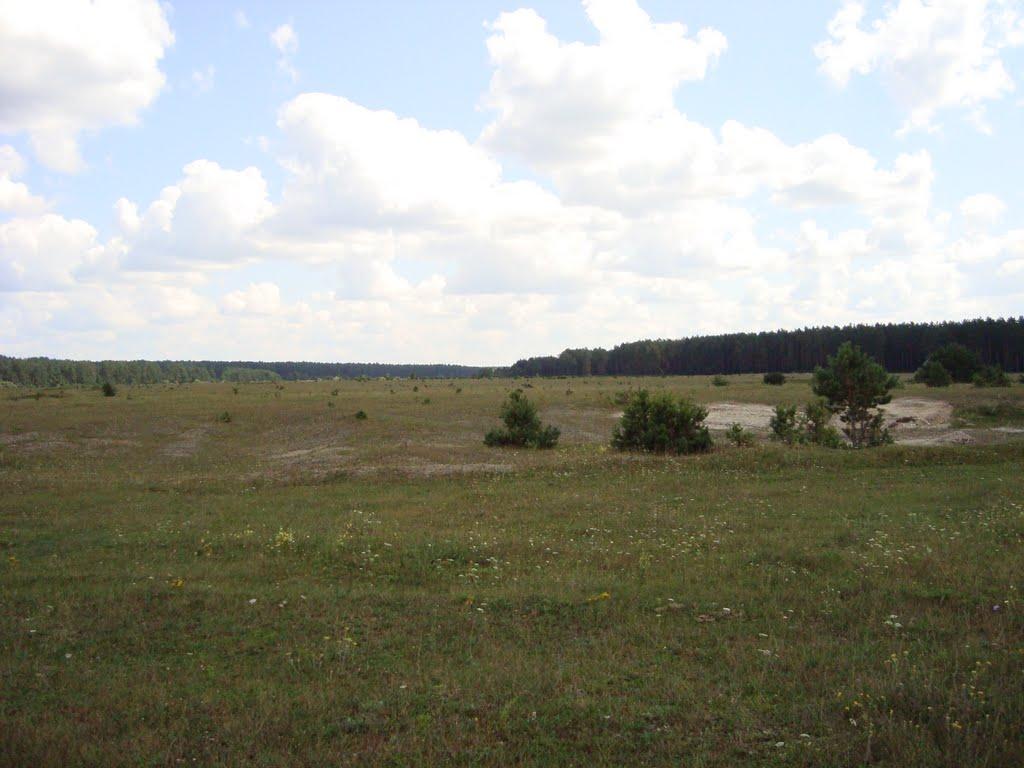 Голики з panoramio.com - Голики