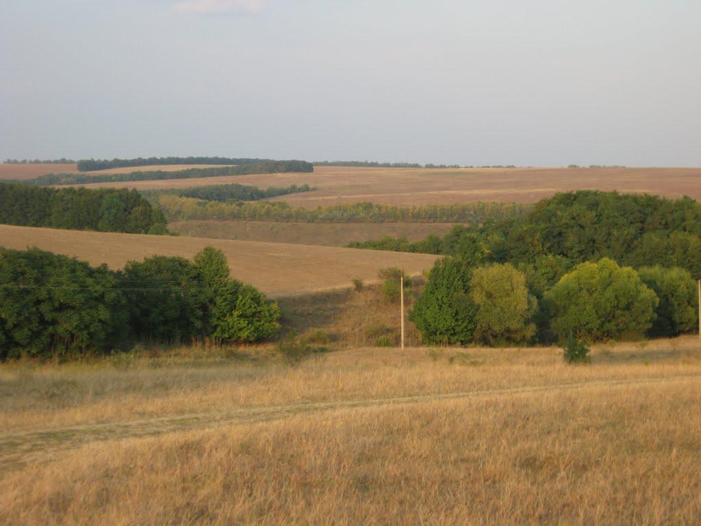 Рункошів з panoramio.com - Runkoshiv