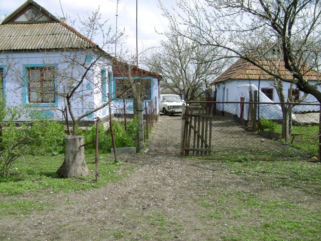 Новогорожене з panoramio.com - Новогорожено