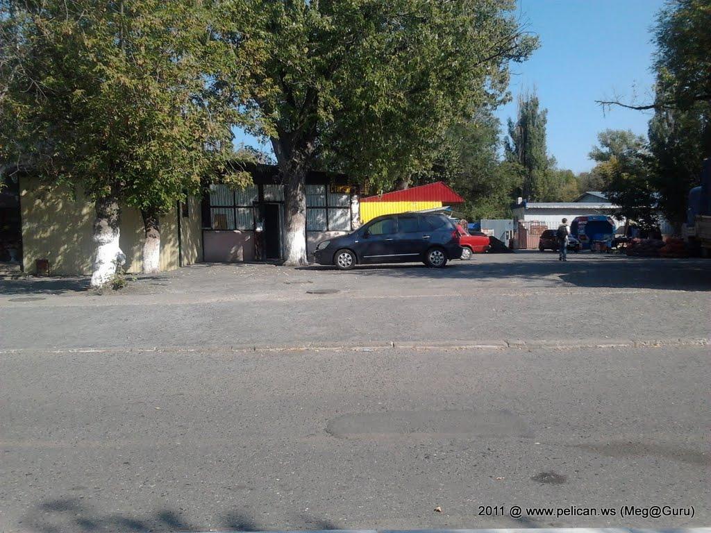 Миколаївка з panoramio.com (ч.2) - Николаевка