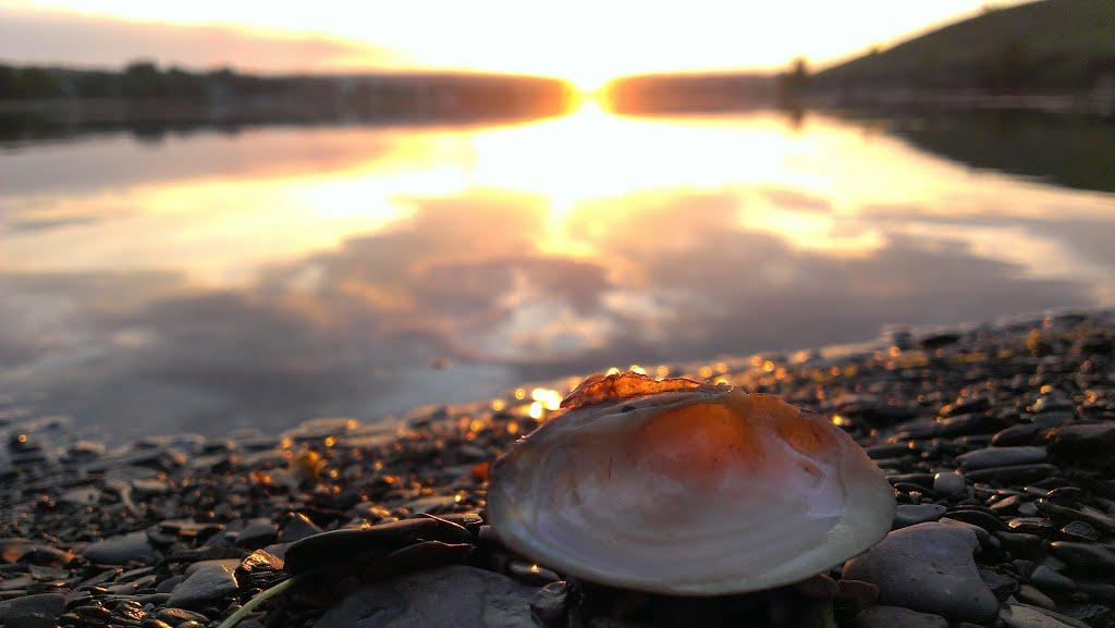 Малокостянтинівка з panoramio.com - Малоконстантиновка