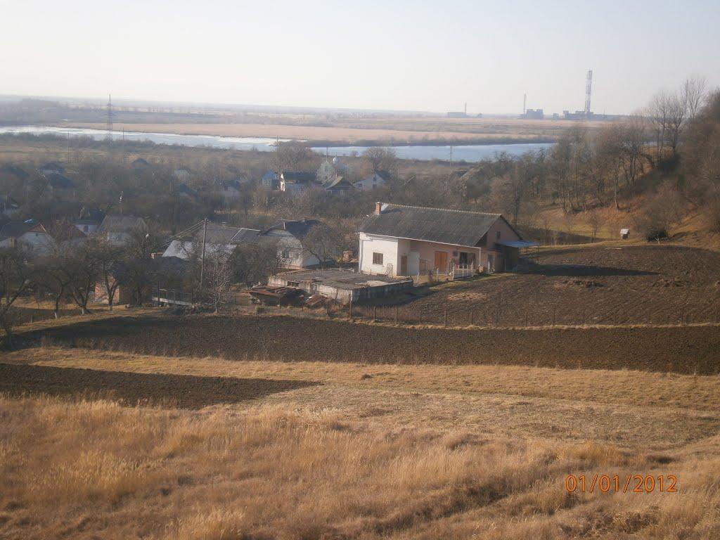 Берездівці з panoramio.com - Берездовцы