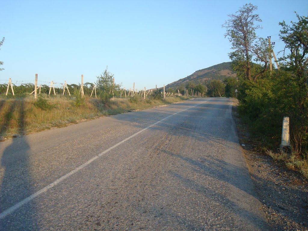 Багатівка з panoramio.com - Багатівка