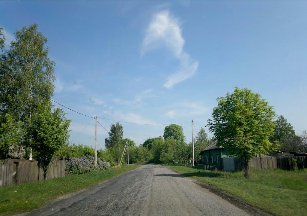 Тур'я з panoramio.com - Тур'я