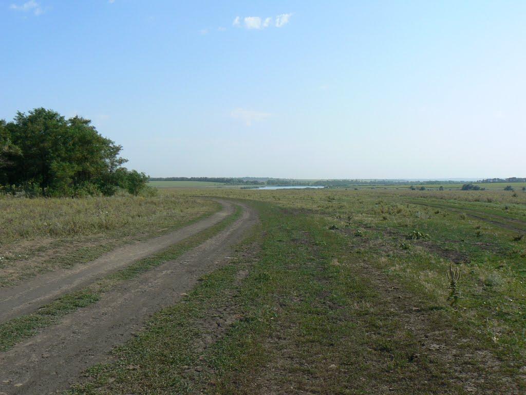 Карла Лібкнехта з panoramio.com - Карла Либкнехта