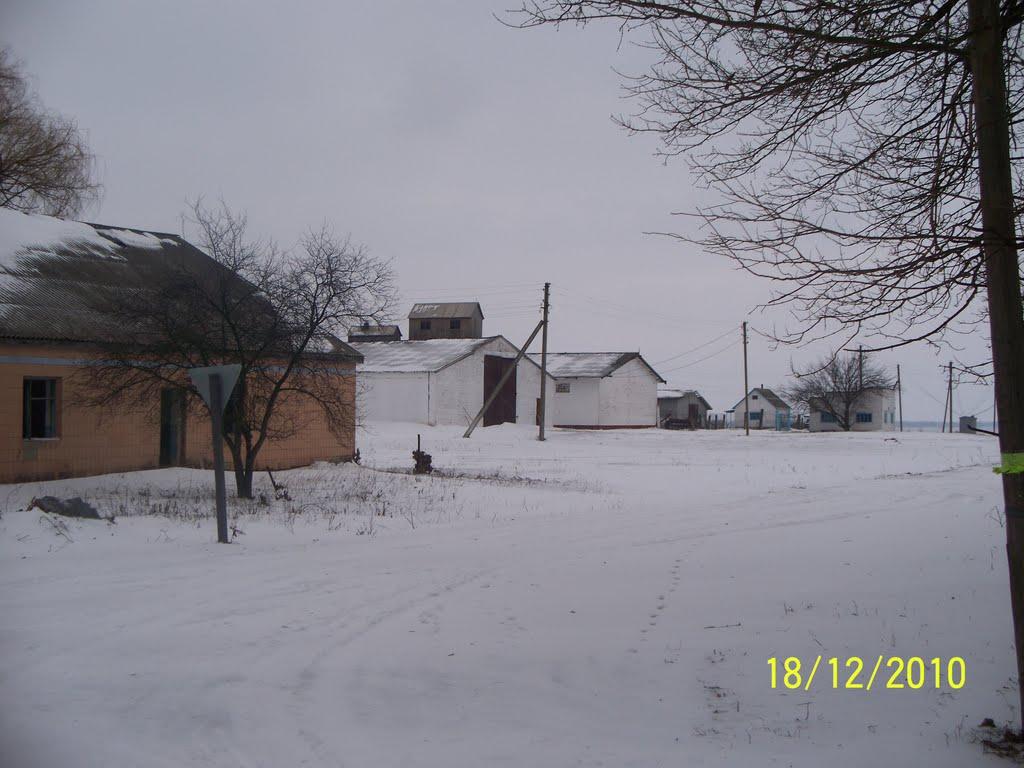 Пушкареве з panoramio.com - Пушкарево