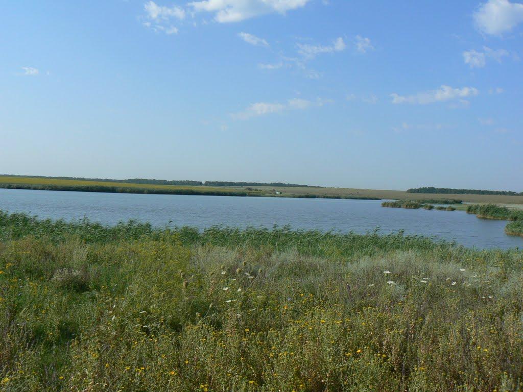 Карла Лібкнехта з panoramio.com - Карла Лібкнехта