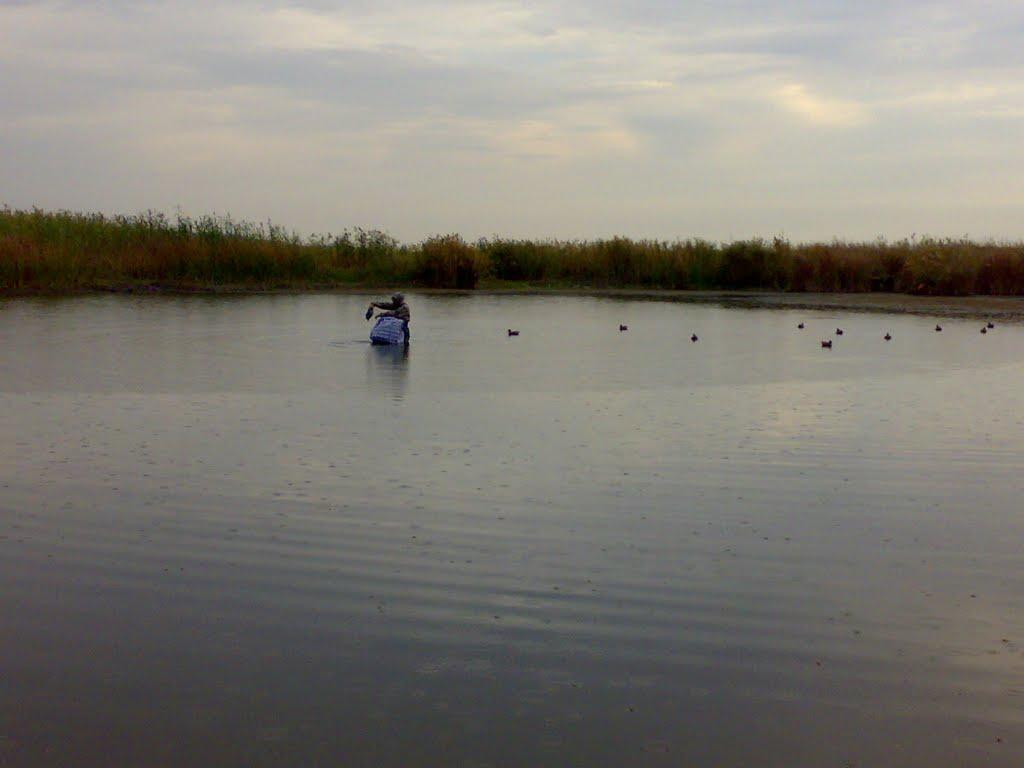 Петропавлівка з panoramio.com - Петропавлівка