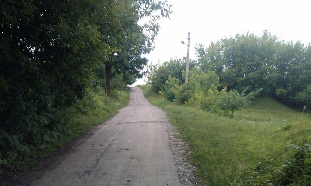 Темногайці з panoramio.com - Темногайці