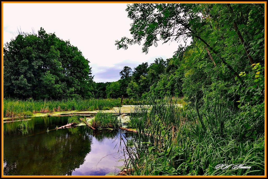 Дронівка з panoramio.com - Дроновка