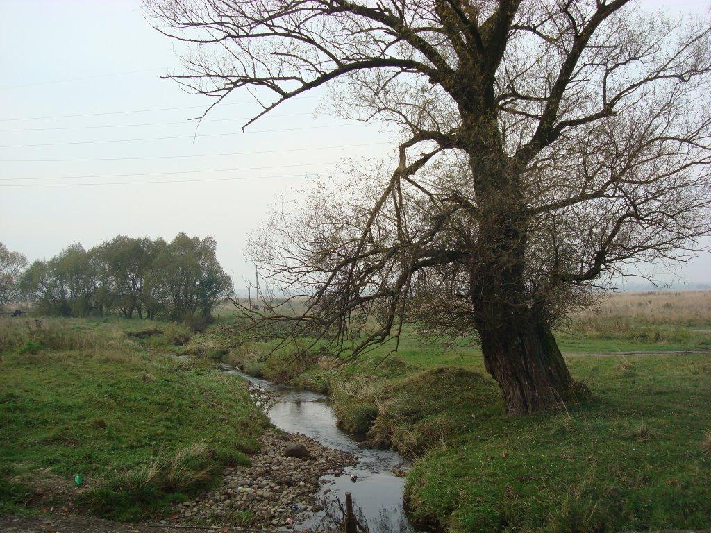 Лісна Слобідка з panoramio.com - Лісна Слобідка