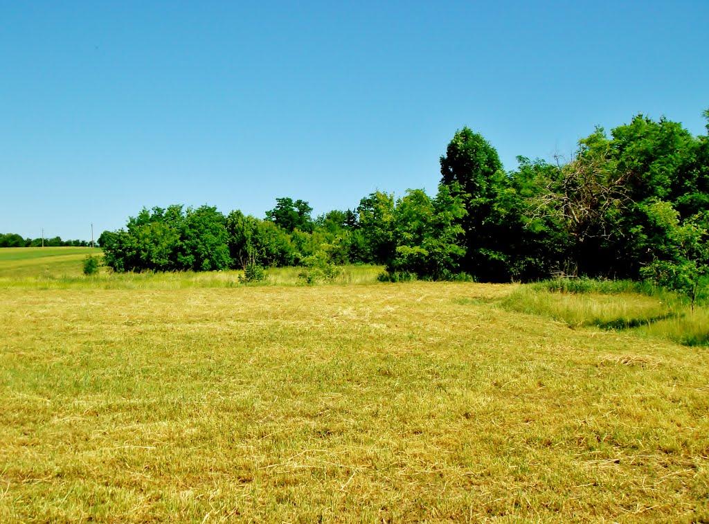 Козацьке з panoramio.com - Kozatske