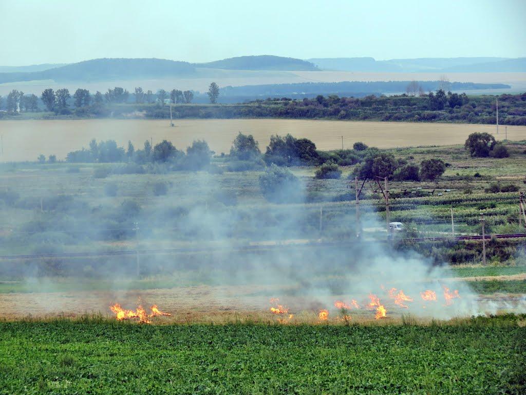 Стінка з panoramio.com - Стінка