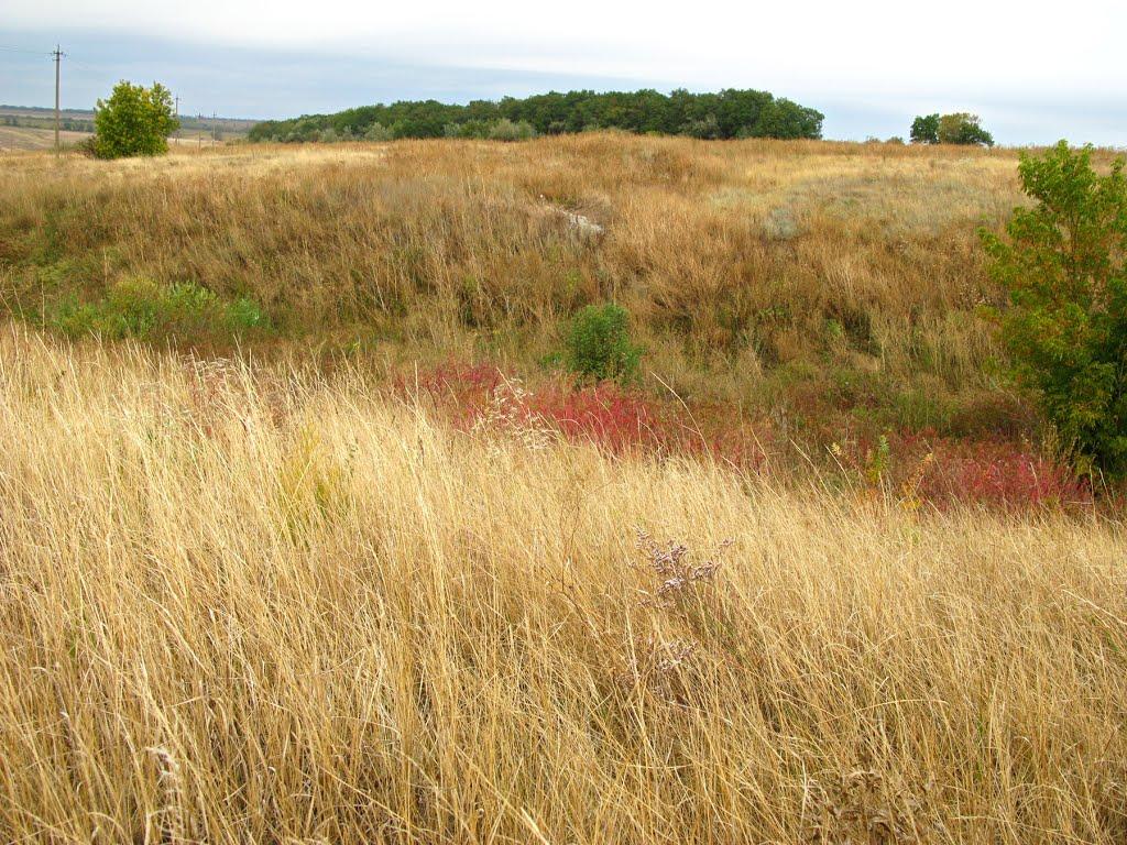 Богуславка з panoramio.com - Богуславка