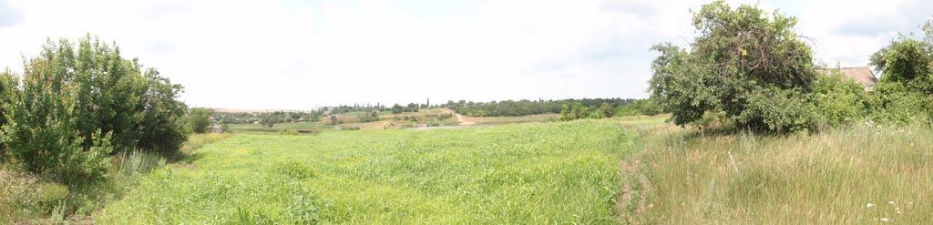 Комісарівка з panoramio.com - Комісарівка