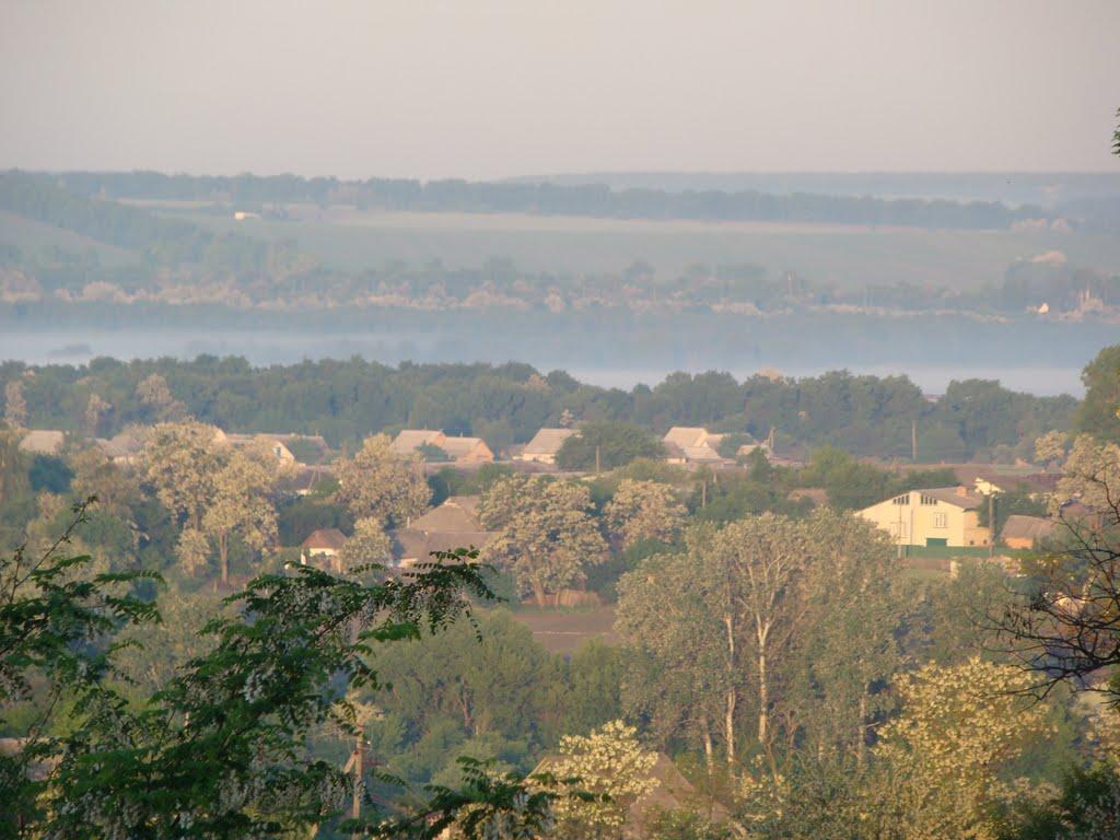 Косарі з panoramio.com (ч.2) - Косари