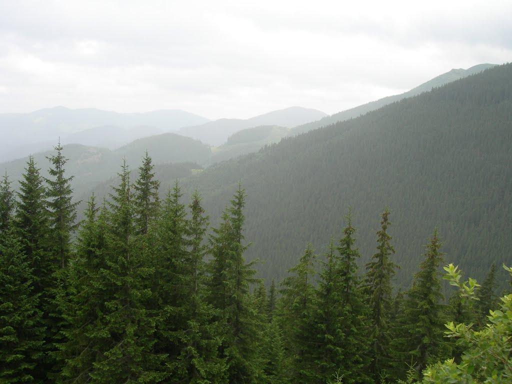 Берестечко з panoramio.com (ч.2) - Берестечко