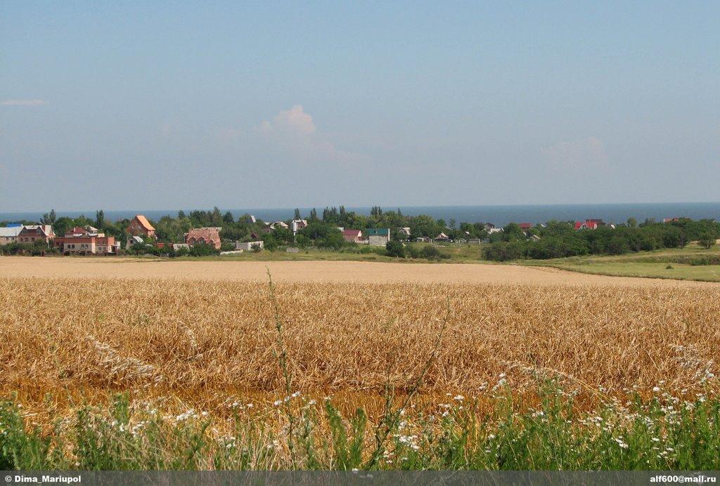 Урзуф з panoramio.com - Урзуф