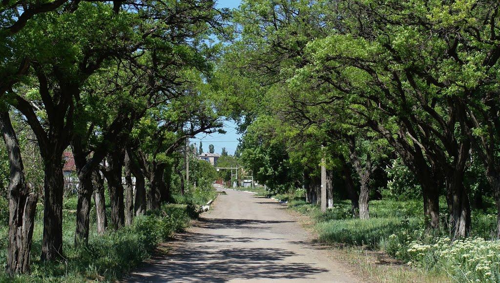 Зугрес з panoramio.com (ч.2) - Зугрэс