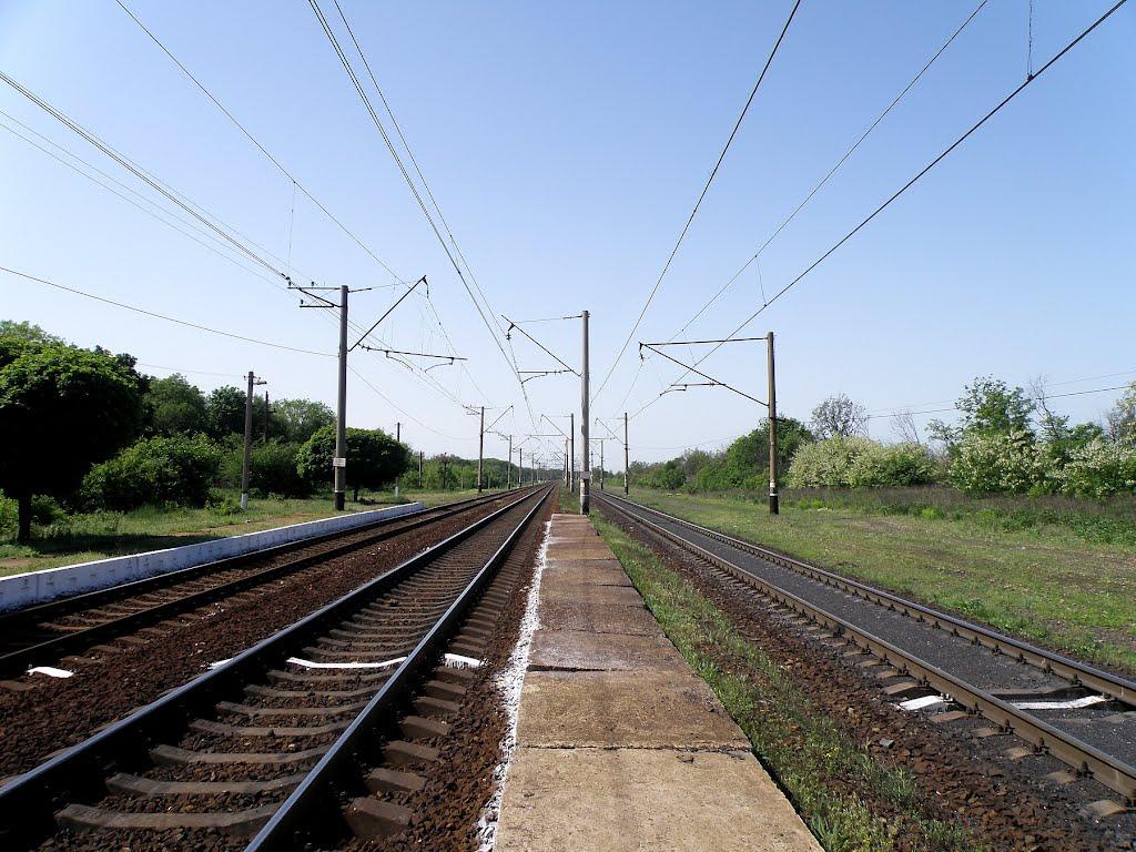 Комуна з panoramio.com - Комуна