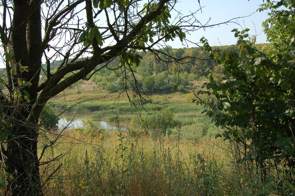 Собківка з panoramio.com - Собківка