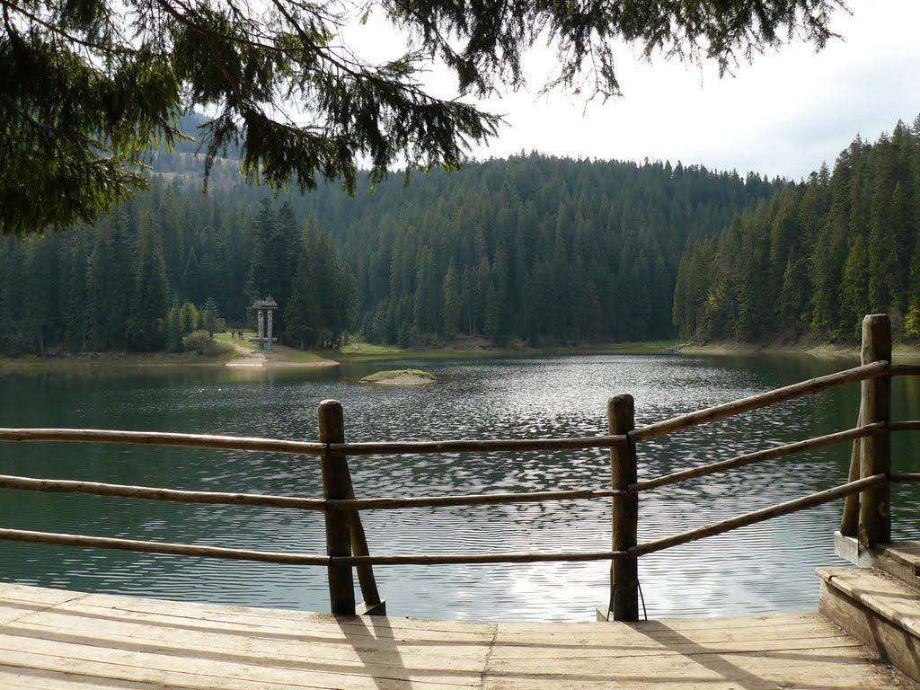 Синевирська Поляна з panoramio.com - Синевирская Поляна
