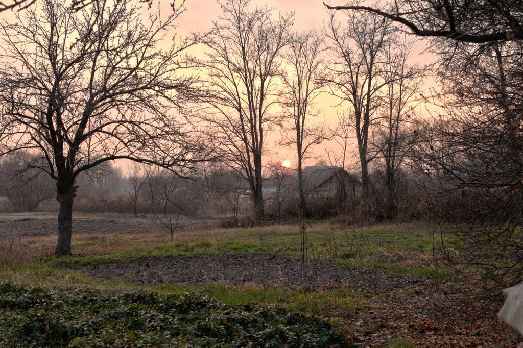 Дейманівка з panoramio.com - Дейманівка