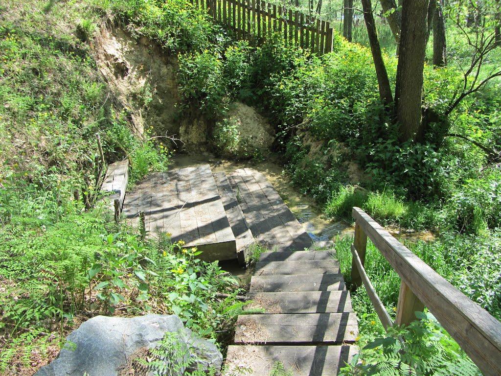 Узруй з panoramio.com - Узруй