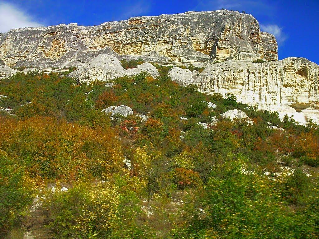 Велике Садове з panoramio.com - Большое Садовое