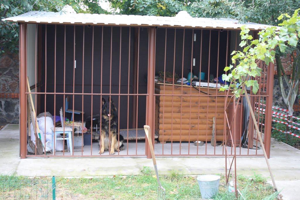 Петропавлівська Борщагівк з panoramio.com - Петропавловская Борщаговк