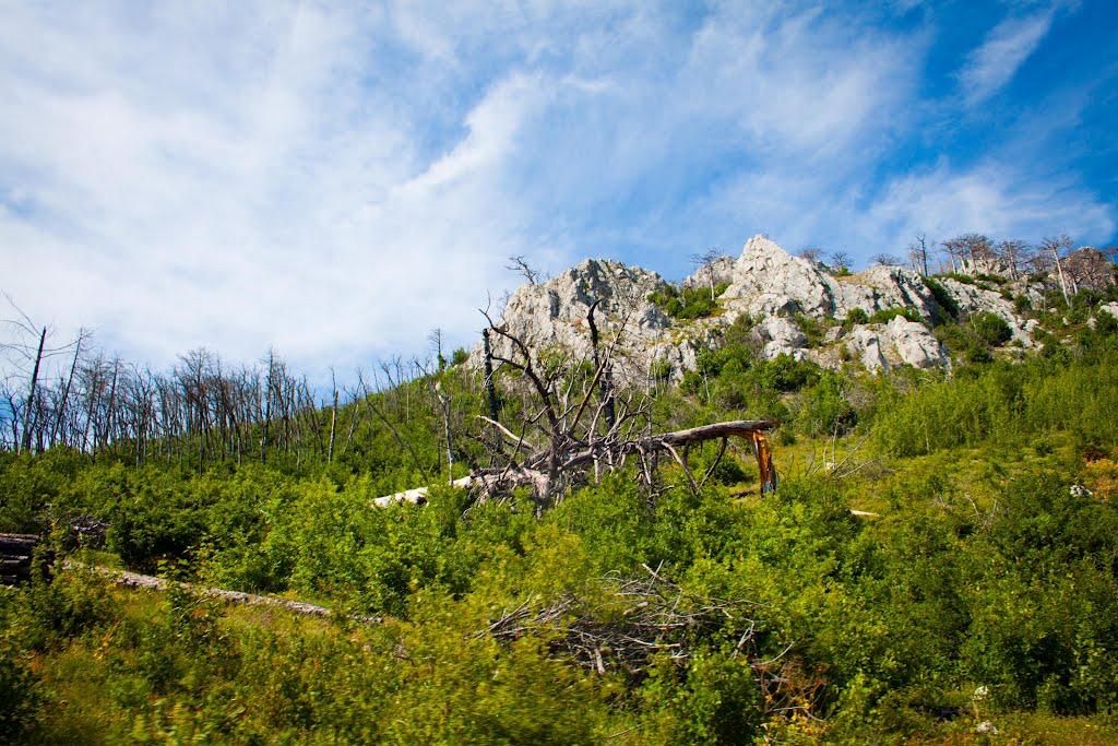 Голуба Затока з panoramio.com (ч.2) - Голубая Затока