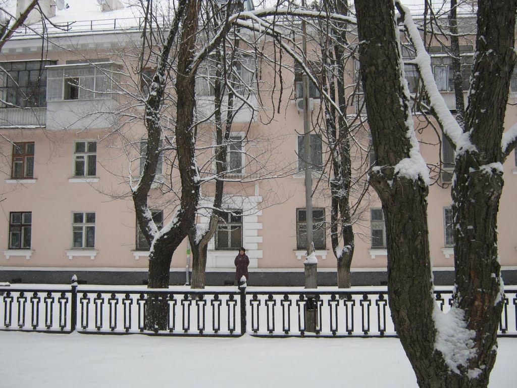 Менжинське з panoramio.com - Менжинське