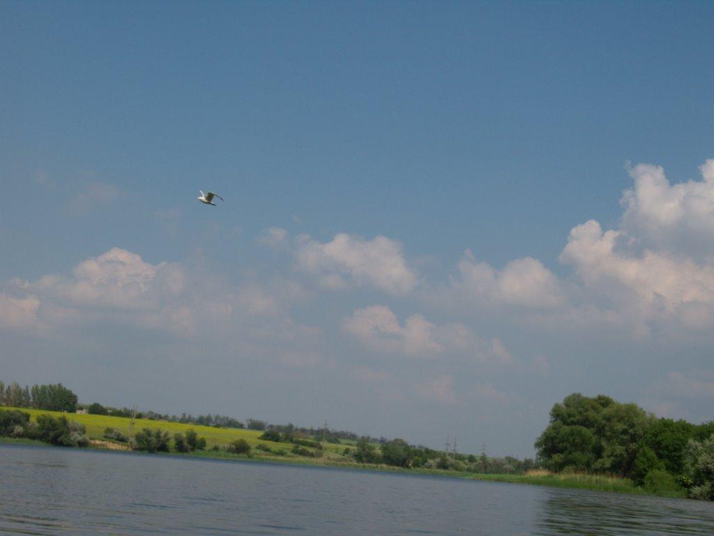 Вільноандріївка з panoramio.com - Вільноандріївка