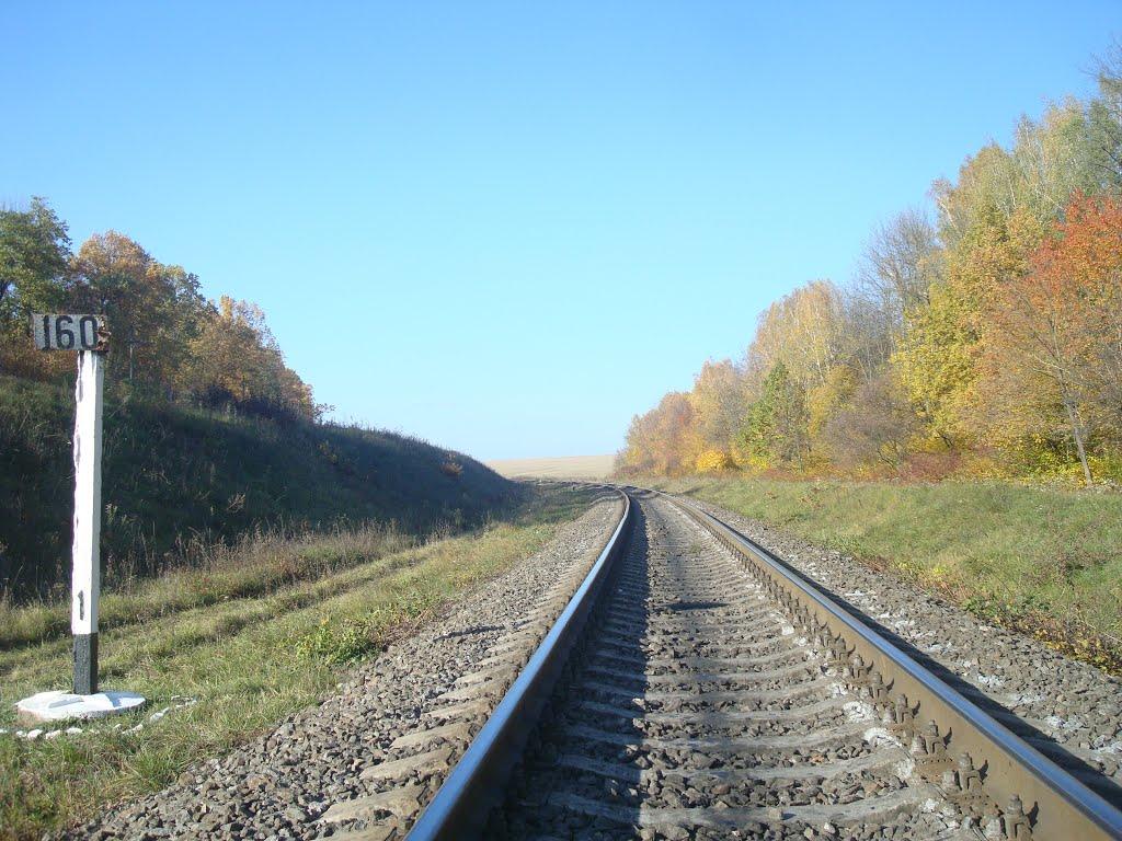 Ярмолинці з panoramio.com - Ярмолинці