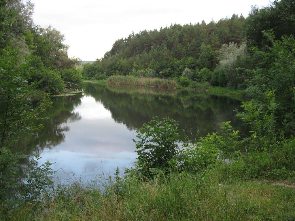 Пискунівка з panoramio.com - Пискунівка