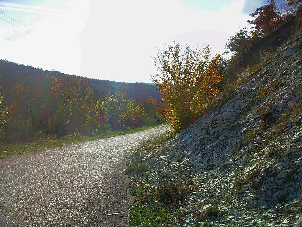 Куйбишеве з panoramio.com (ч.2) - Куйбышево