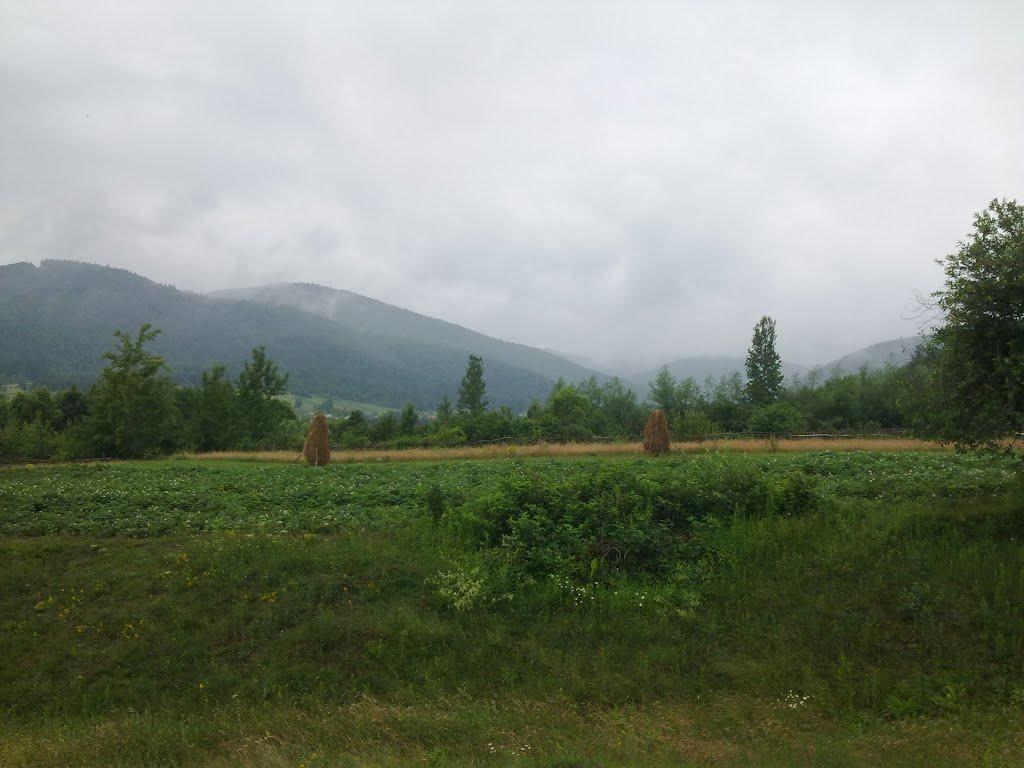 Перегінське з panoramio.com - Перегінське